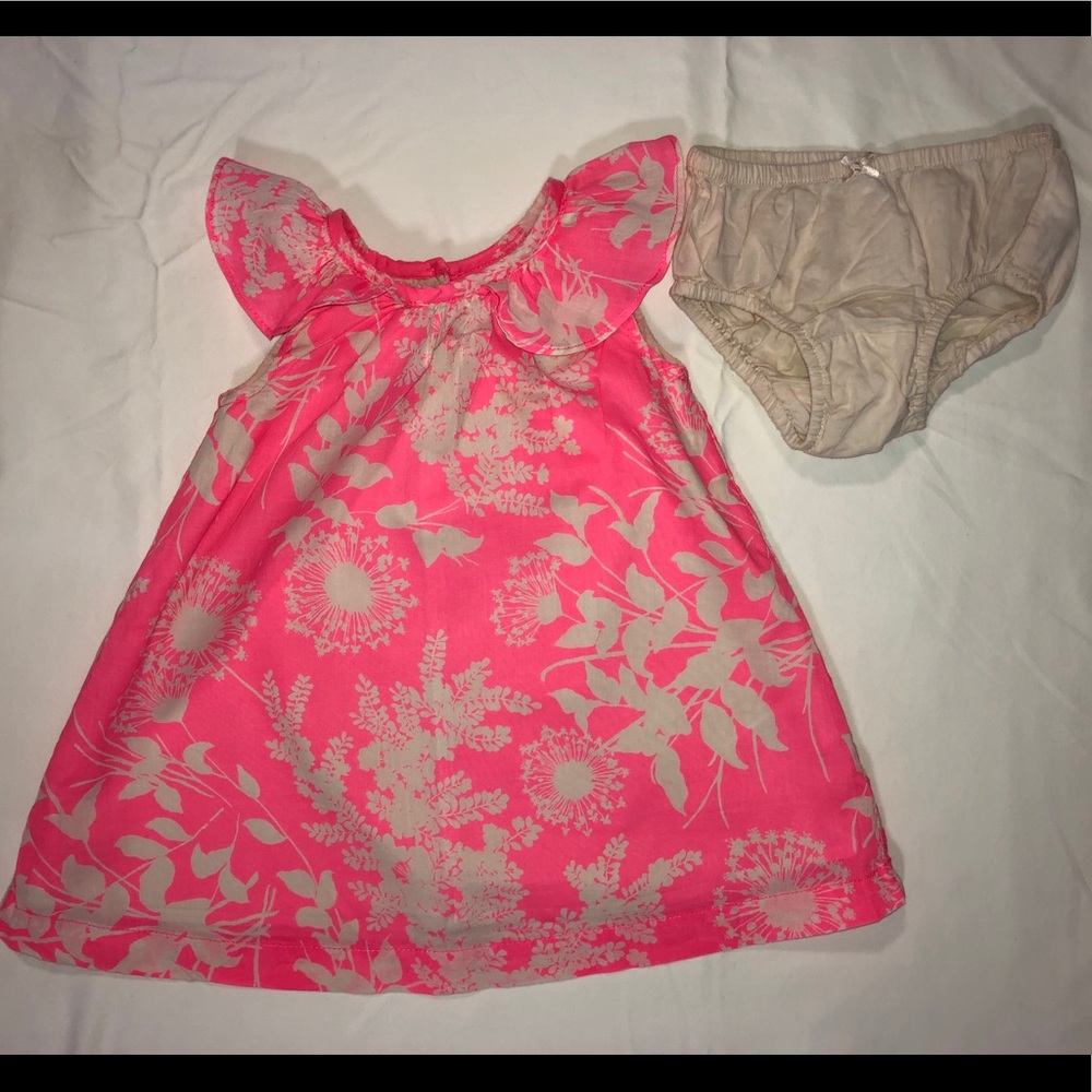 Baby Gap Pink w/ Cream Floral Accents Size 18-24M